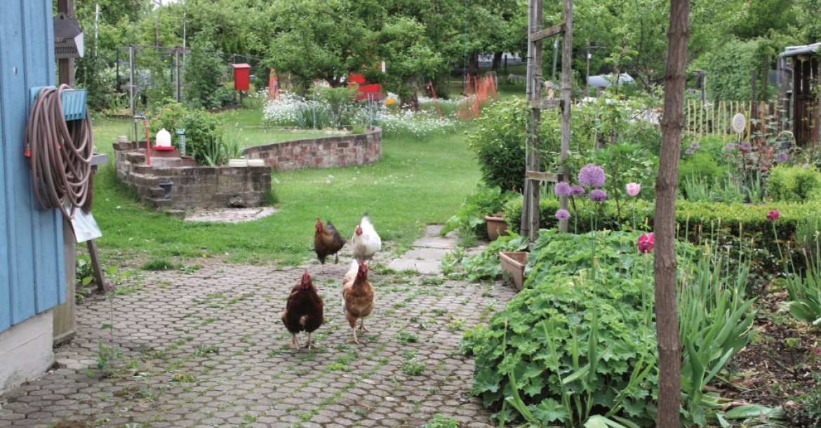 Gartner Im Gluck Agzente Plus